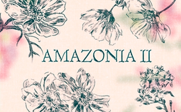 AMAZONIA II